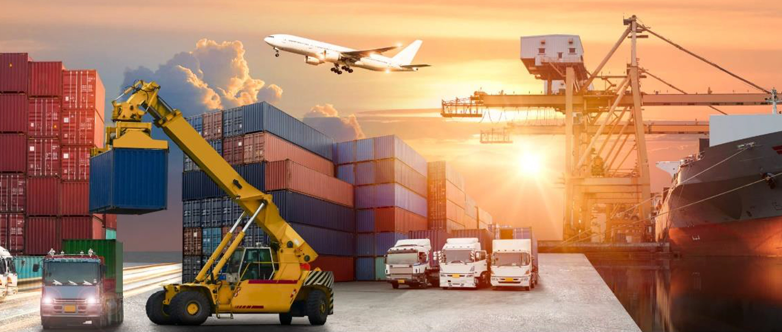 Global Logistics Solutions
